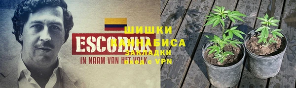 шишки Балабаново